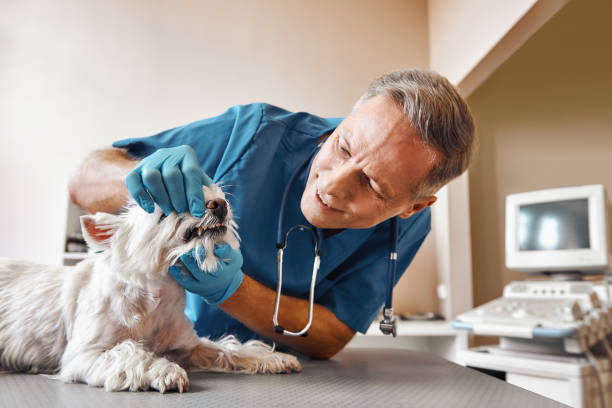 Best Emergency Tooth Extraction in Stanton, TX